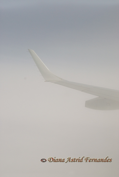 Airplane-Wing-lost-in-the-clouds