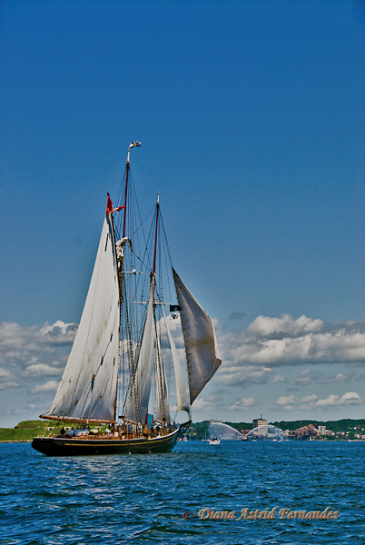 Blue-Nose-II-Tall-ship-Halifax
