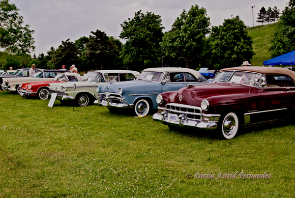 Classic-Cars on show