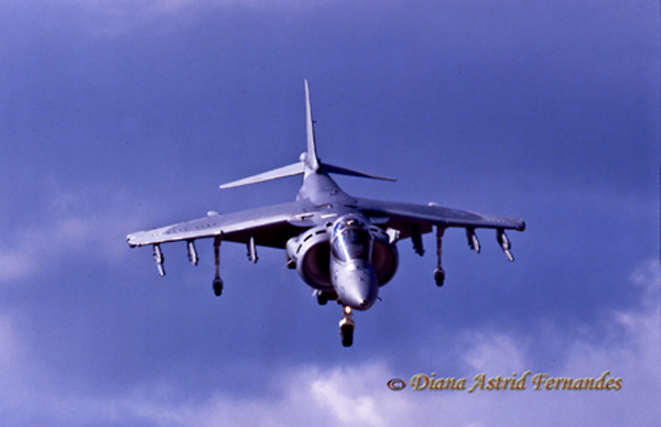 Hovering-Fighter-Jet
