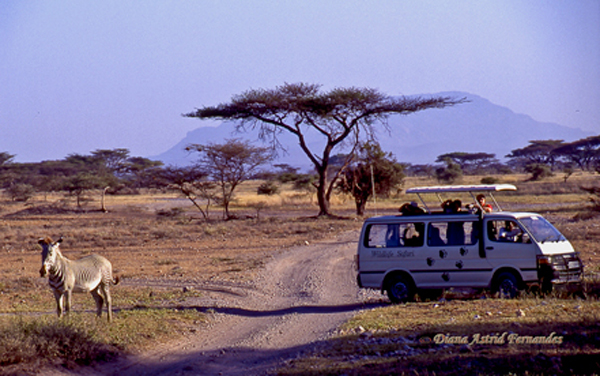 On-Kenyan-Safari
