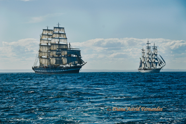 Tall-Ships-Halifax-Harbour